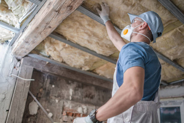 Best DIY Insulation Kits and Guidance in Bear Rocks, PA