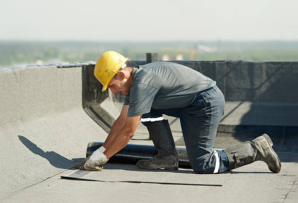 Best Cellulose Insulation in Bear Rocks, PA