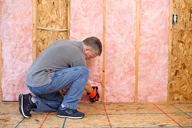 Types of Insulation We Offer in Bear Rocks, PA